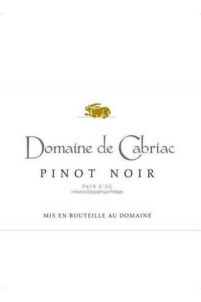 Domaine-de-Cabriac-Pinot-Noir