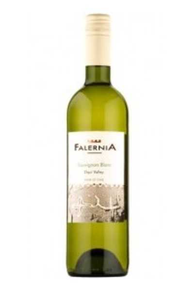 Falernia-Sauvignon-Blanc-2014