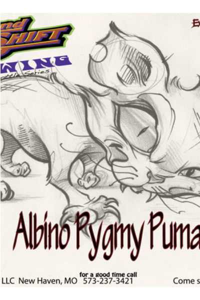 2nd-Shift-Albino-Pygmy-Puma-Pale-Ale