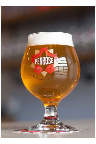 Penrose-Proto-Gradus