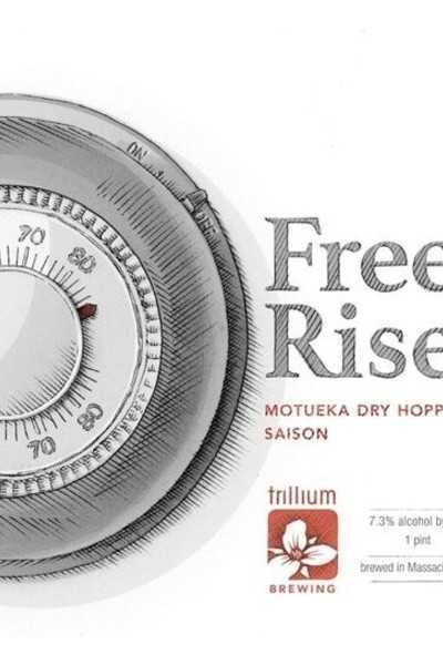 Trillium-Free-Rise-Motueka-Dry-Hopped-Saison