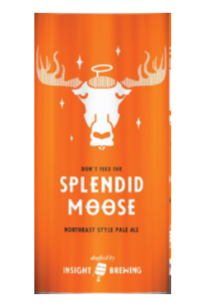 Insight-Splendid-Moose