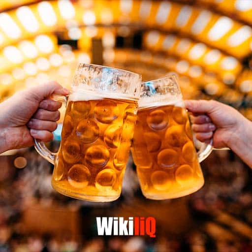 Best International Beer Festivals