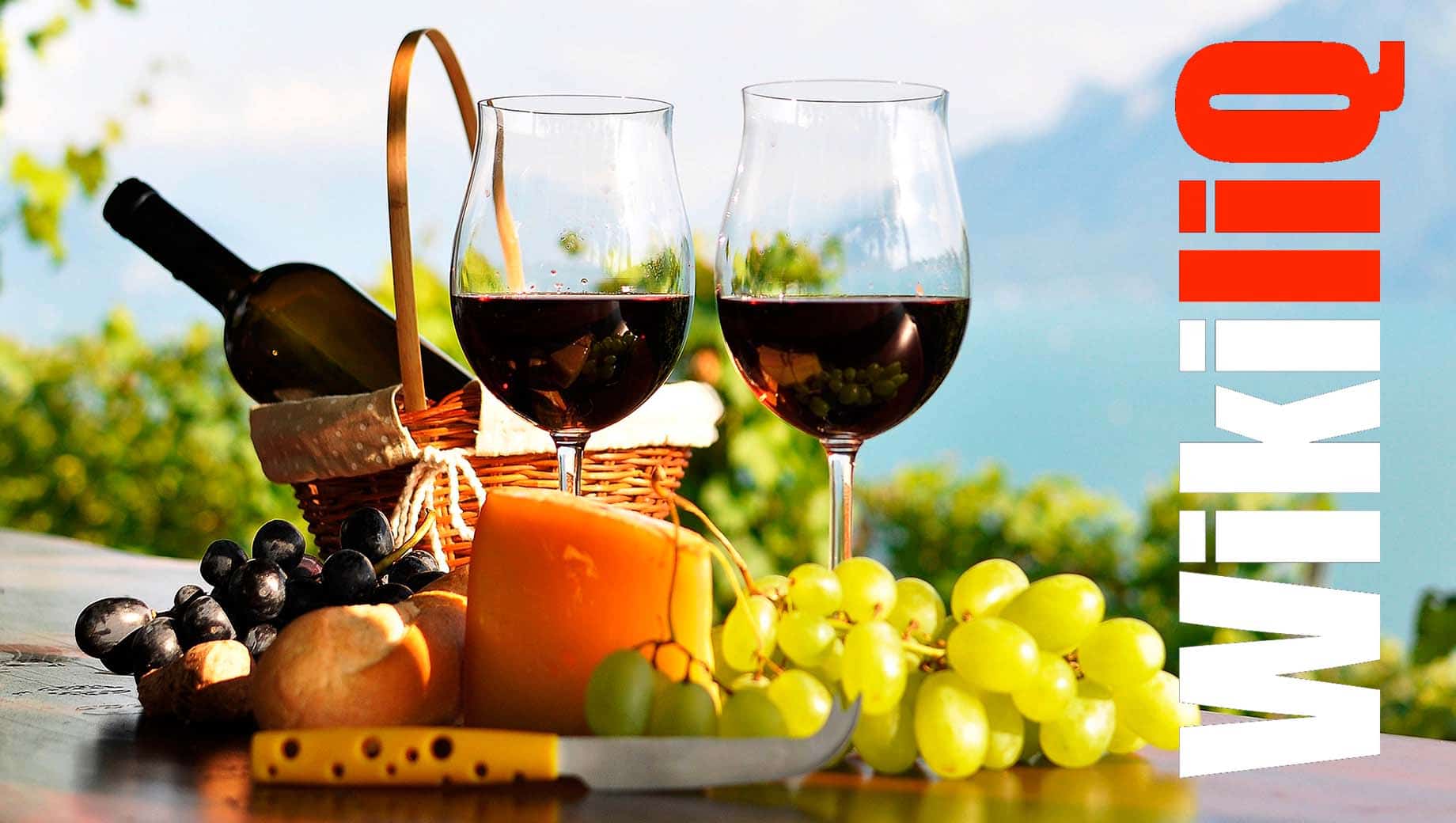 >Food and White Wine Pairing Basics